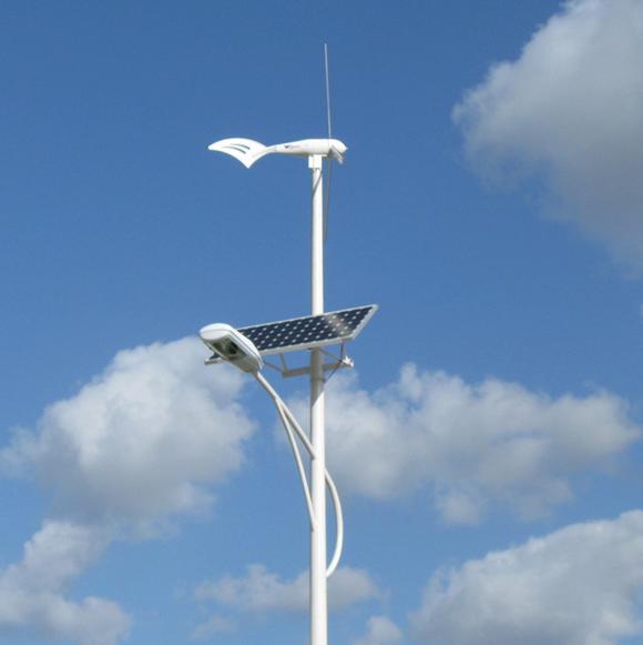 (Demos in Haiti) Wind & Solar Hybrid Road Lamp 