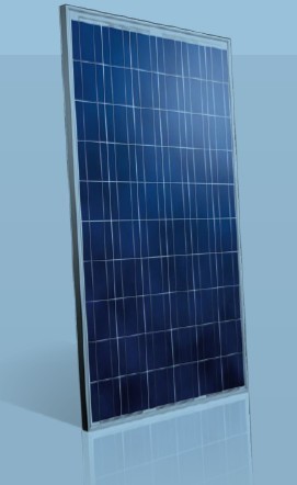 Polycrystalline Solar Panels (1W to 300W)