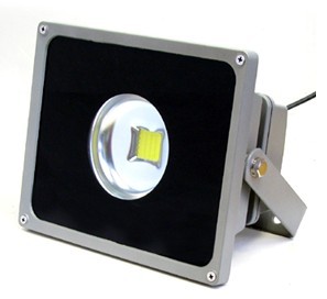 LED Flood Light (FLS225, 20W,30W, AC)