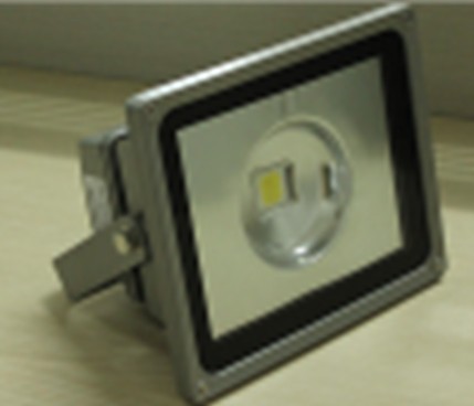 LED Flood Light (JS(O)225TG30W-60D, DC/AC)
