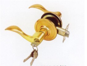 Locks (5809)